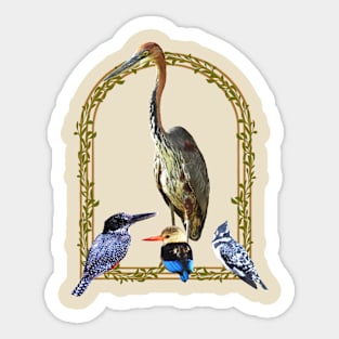 Goliath Heron - Kingfisher - Birds - Africa Sticker